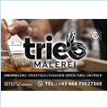 TriebMalerei_10724_1746021227.jpg
